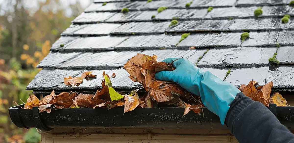 Gutter cleaning technician clearing wet leaves from roof gutters in Bradenton, FL